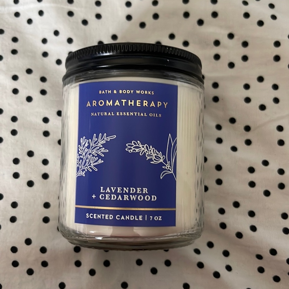 Bath & Body Works Single Wick Candle
